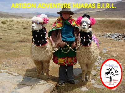 ALPACAS FASHION